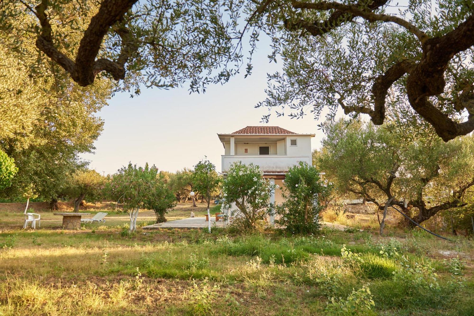 Villa Rania / Zante Drosia Кипсели Экстерьер фото